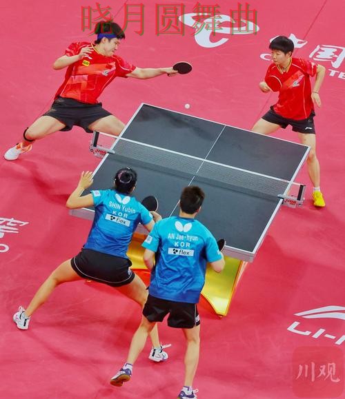 世界杯投注app韩国关键战怎么判断走势