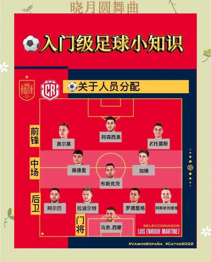 世界杯买球关键战怎么分析更清楚